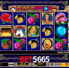 bet5665 Belo Horizonte - Reivindique Bonus